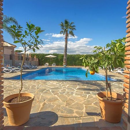 Villa Conmigo Bed & Breakfast Alhaurín de la Torre Exteriér fotografie